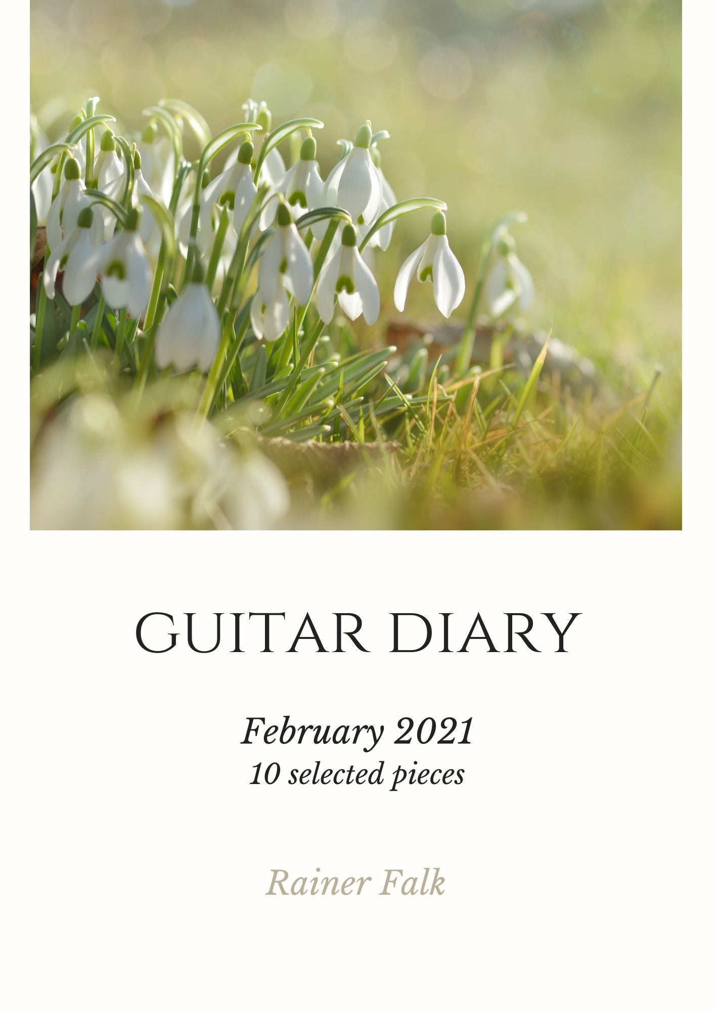 GUITAR DIARY - FEBRUARY 2021