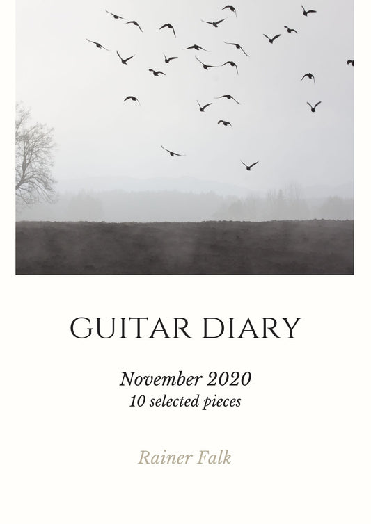 GUITAR DIARY - NOVEMBER 2020